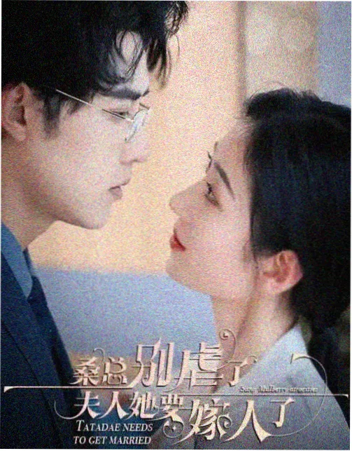 97视频在线观看 都市爱情