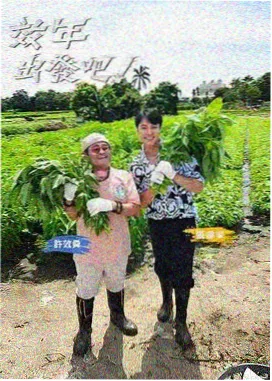 97视频在线观看 旅行日记